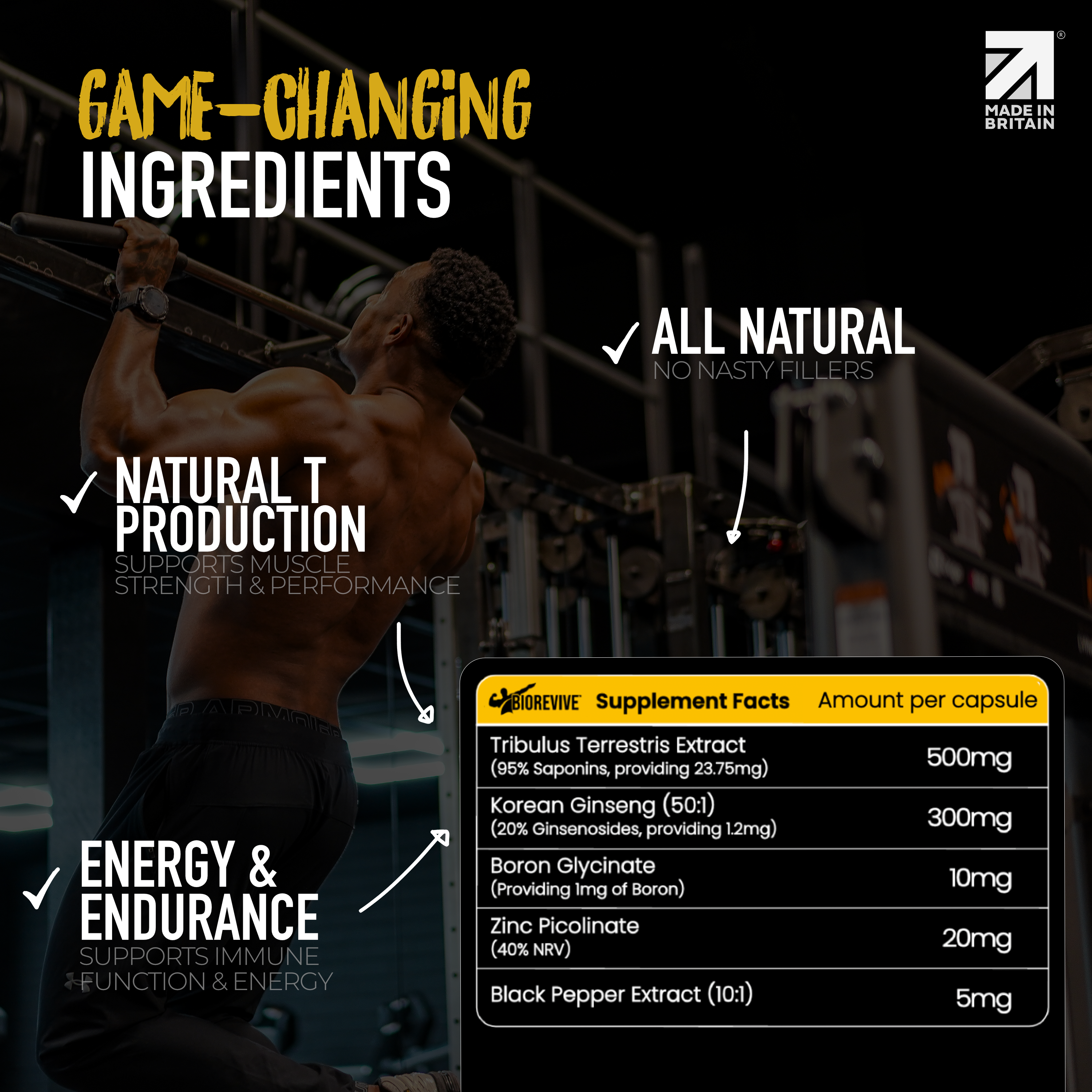 BEDROCK | Energy, Strength & Performance Support